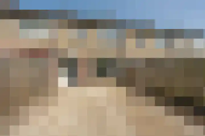 Zweedsestraat 6 's-Gravendeel thumbnail 21