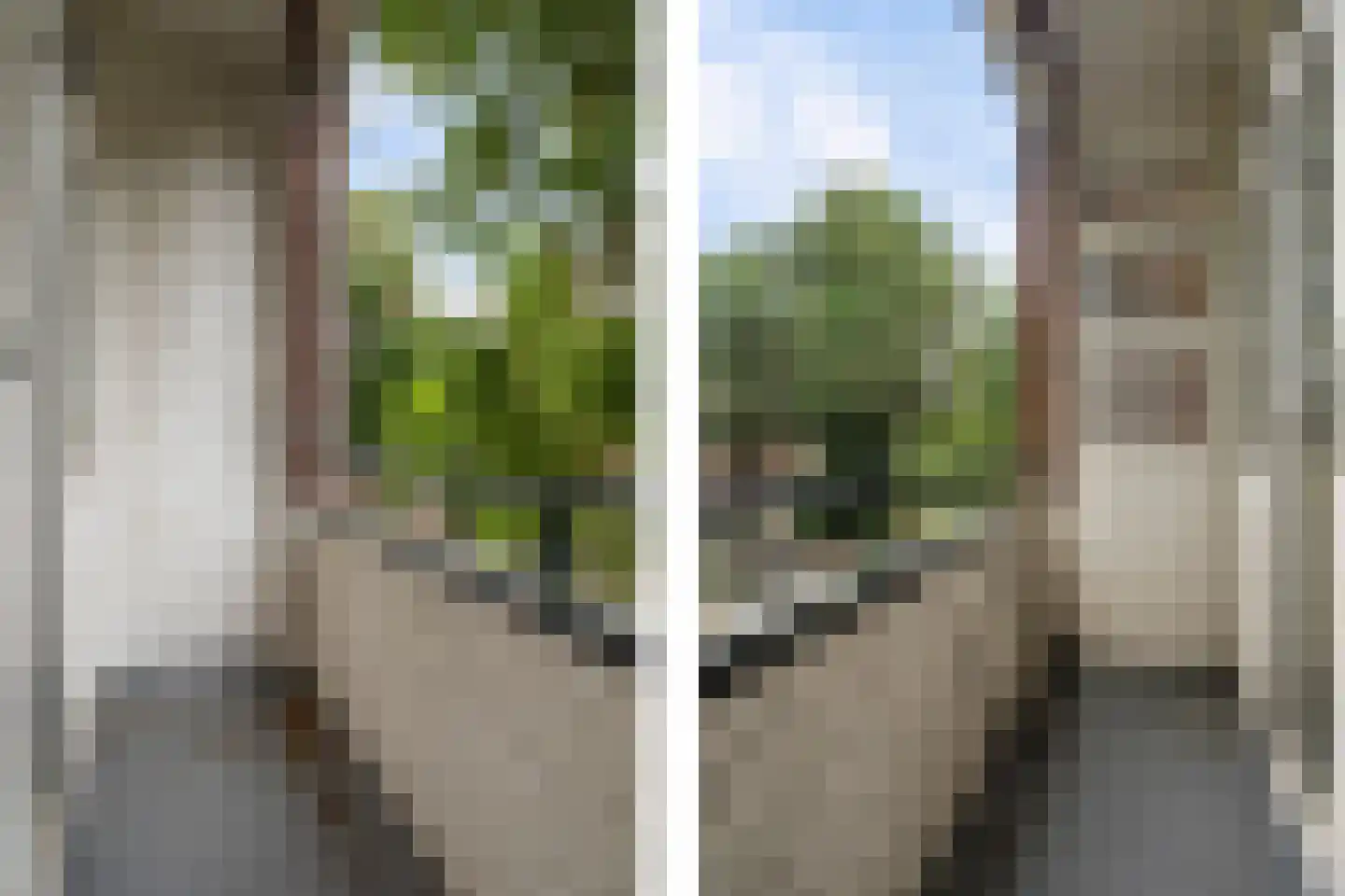 Zweedsestraat 61 C Rotterdam thumbnail 14