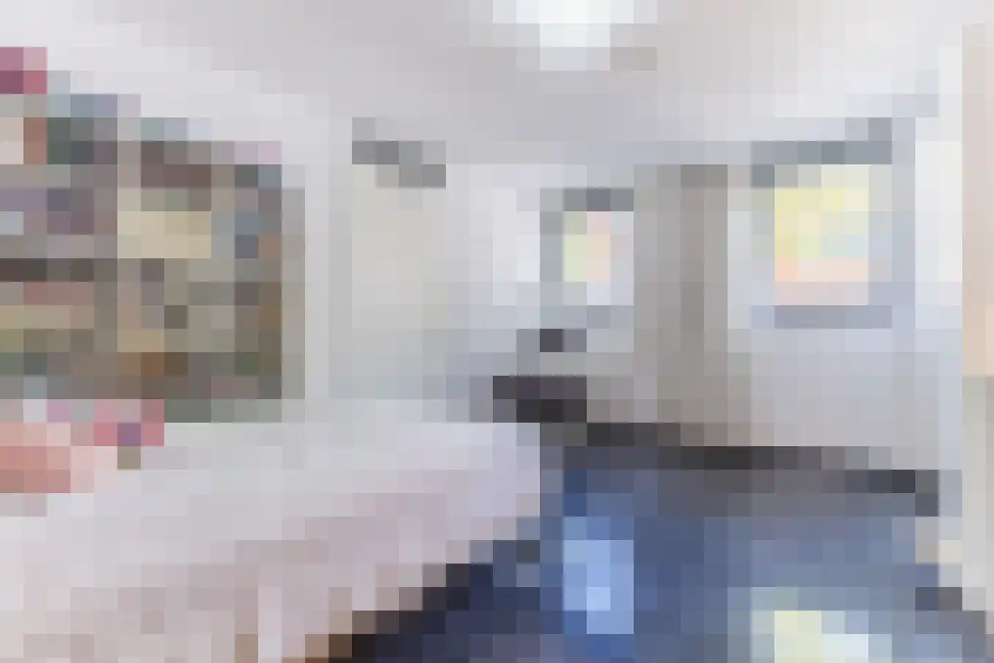 Zweedsestraat 72 Rotterdam thumbnail 10