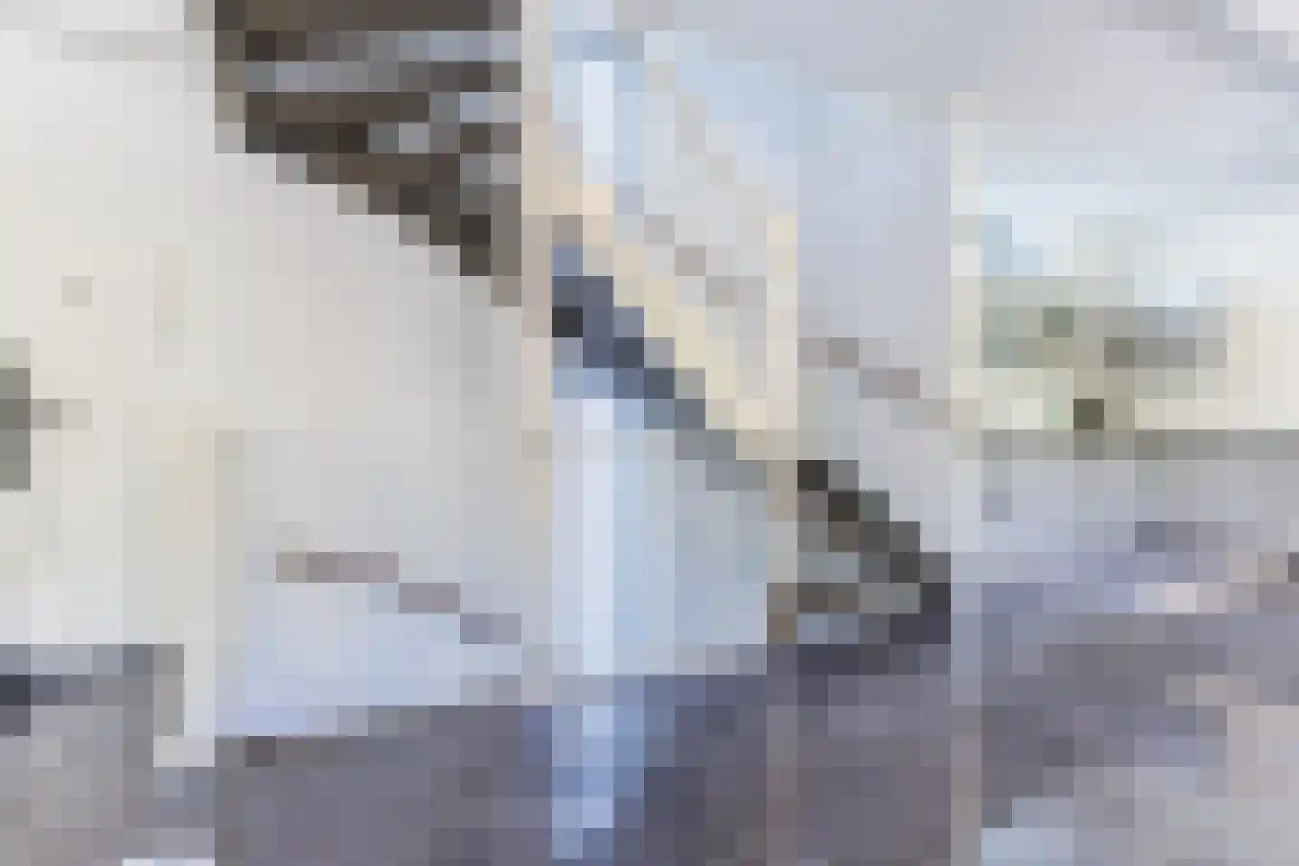 Zweedsestraat 72 Rotterdam thumbnail 12