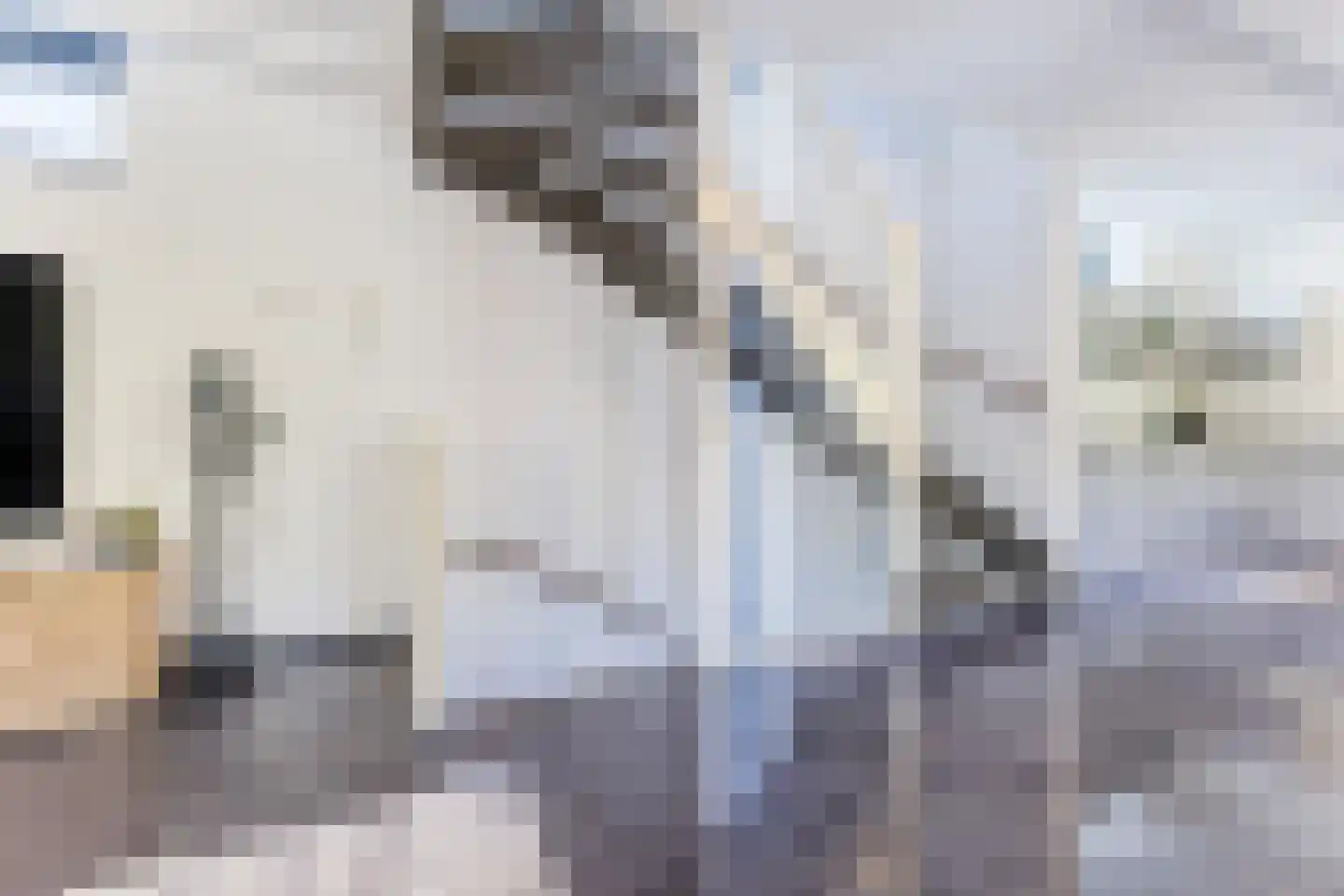 Zweedsestraat 72 Rotterdam thumbnail 21