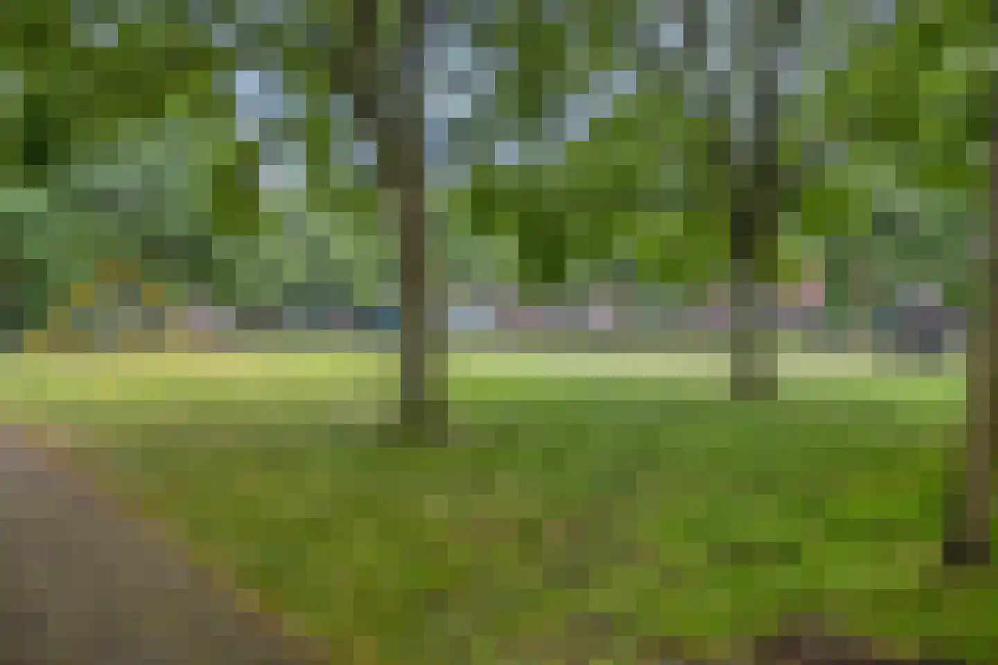 Zweedsestraat 73 C Rotterdam thumbnail 34
