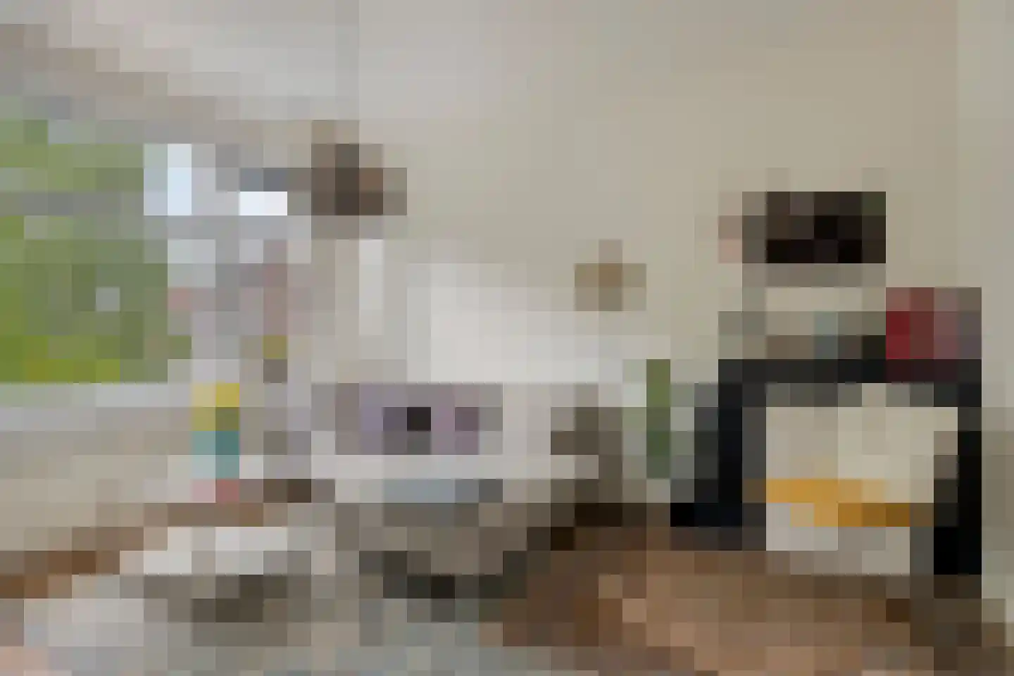 Zweedsestraat 73 C Rotterdam thumbnail 6