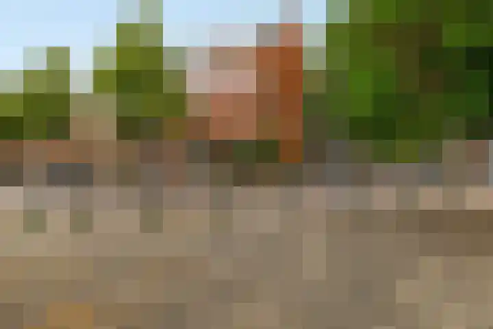 Zweedsestraat 95 B 01 Rotterdam thumbnail 30