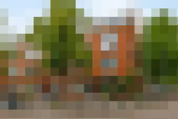 Zweedsestraat 95 B 01 Rotterdam thumbnail 4