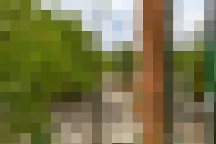 Zweedsestraat 95 B 01 Rotterdam thumbnail 9