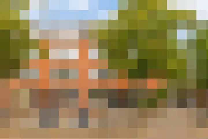 Zweedsestraat 97 B Rotterdam thumbnail 28