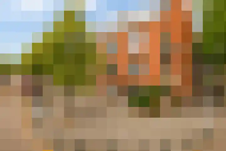 Zweedsestraat 97 B Rotterdam thumbnail 30