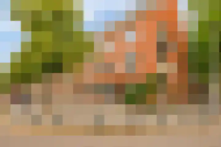Zweedsestraat 97 B Rotterdam thumbnail 38