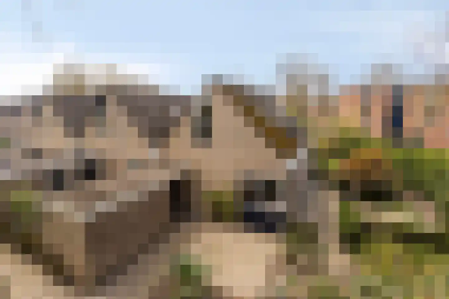 Zweelerbrink 136 Emmen thumbnail 10