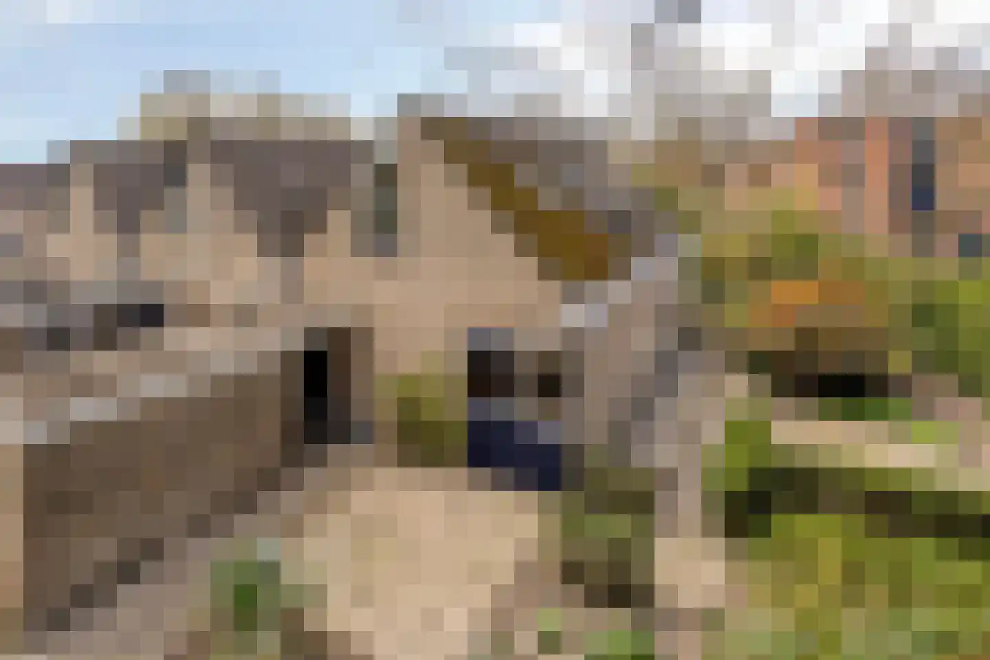 Zweelerbrink 136 Emmen thumbnail 11