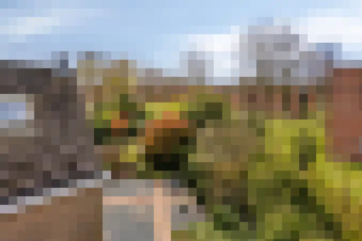 Zweelerbrink 136 Emmen thumbnail 41