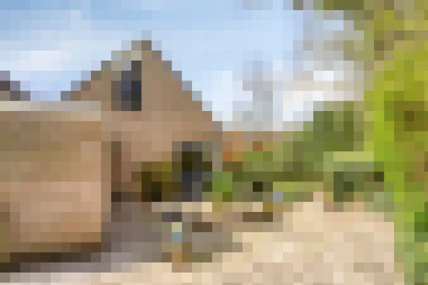 Zweelerbrink 136 Emmen thumbnail 8