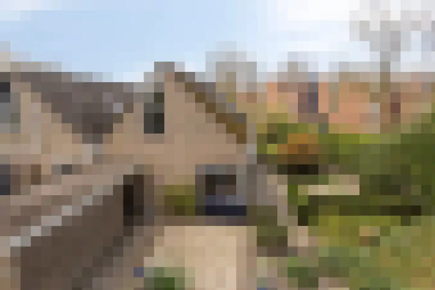 Zweelerbrink 136 Emmen thumbnail 9