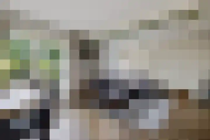 Zweelerbrink 8 Emmen thumbnail 10