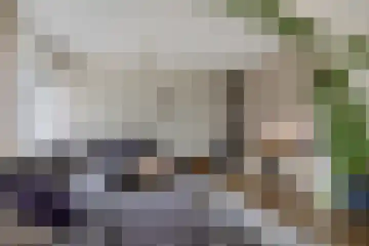 Zweelerbrink 8 Emmen thumbnail 11