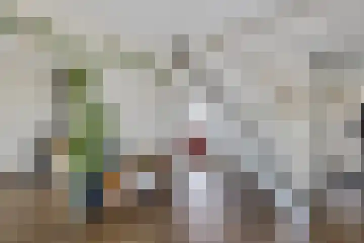 Zweelerbrink 8 Emmen thumbnail 15