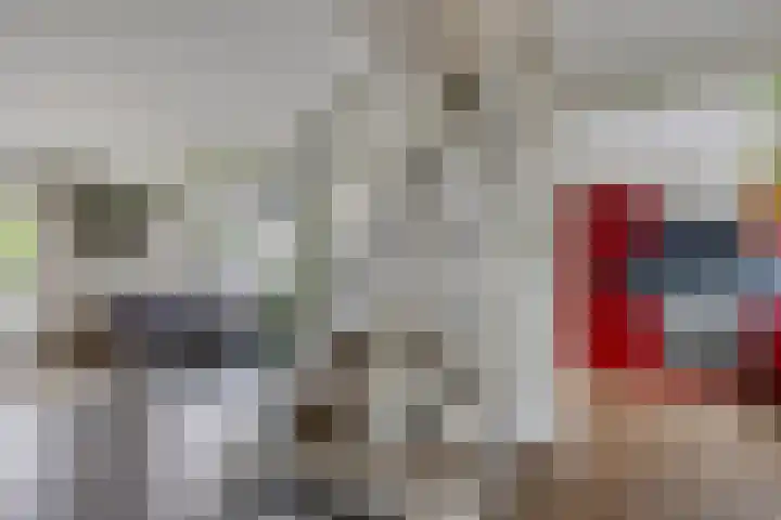 Zweelerbrink 8 Emmen thumbnail 16