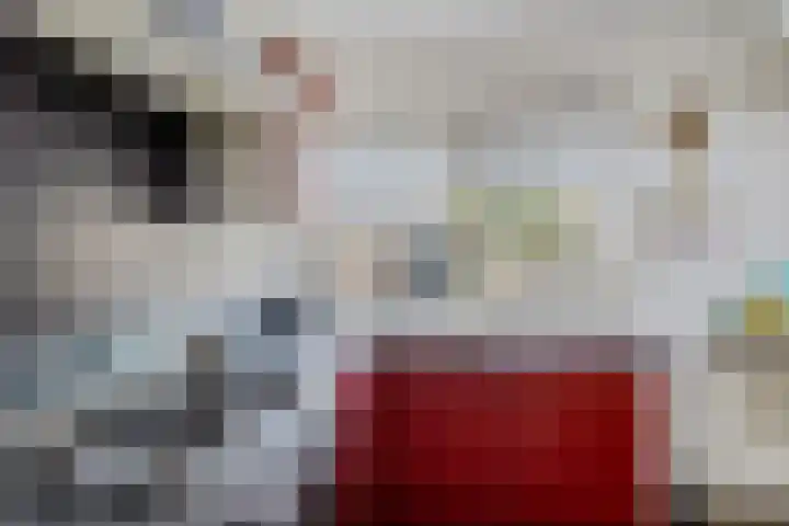 Zweelerbrink 8 Emmen thumbnail 17