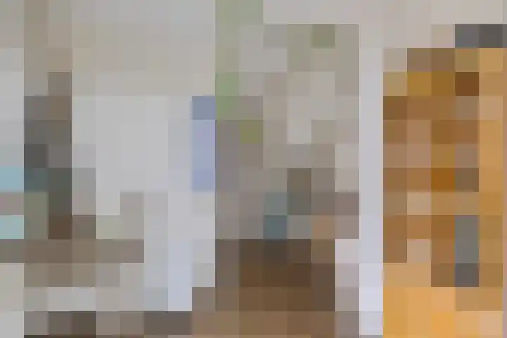 Zweelerbrink 8 Emmen thumbnail 18