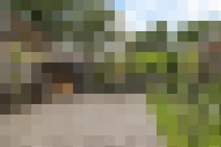 Zweelerbrink 8 Emmen thumbnail 28
