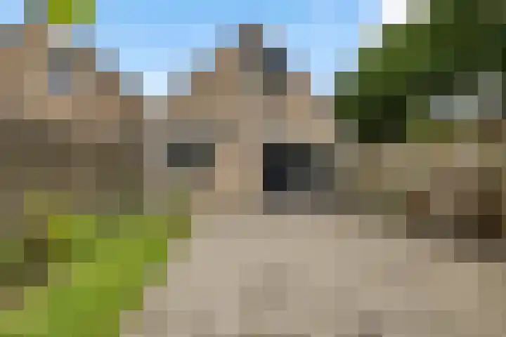 Zweelerbrink 8 Emmen thumbnail 30
