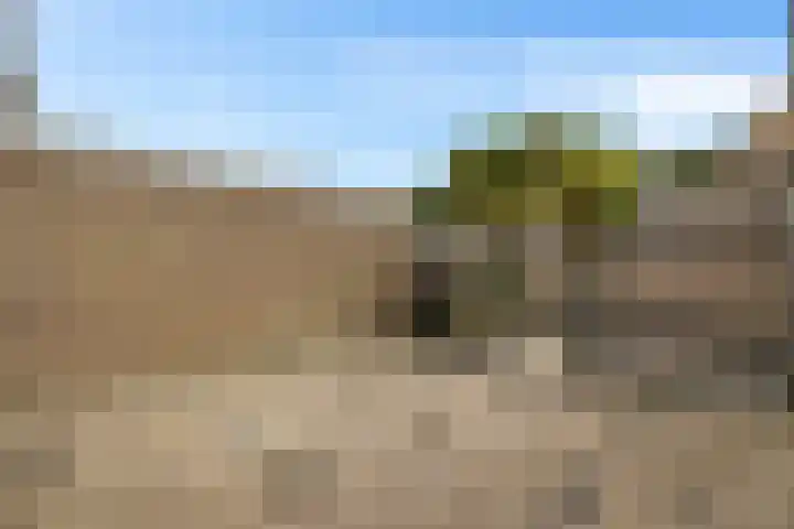 Zweelerbrink 8 Emmen thumbnail 4