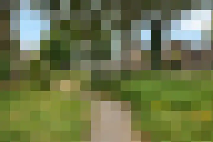 Zweelerbrink 8 Emmen thumbnail 5