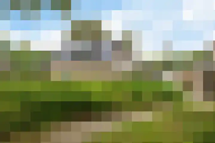 Zweelerbrink 8 Emmen thumbnail 6