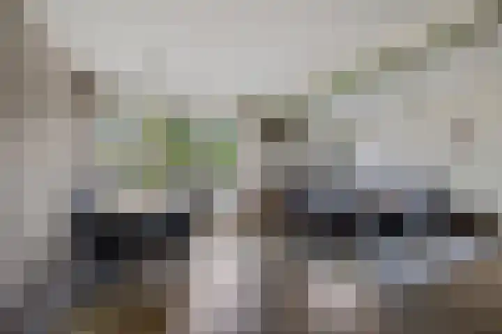 Zweelerbrink 8 Emmen thumbnail 9