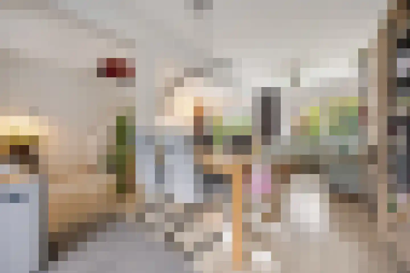 Zweepslag 15 Huissen thumbnail 10