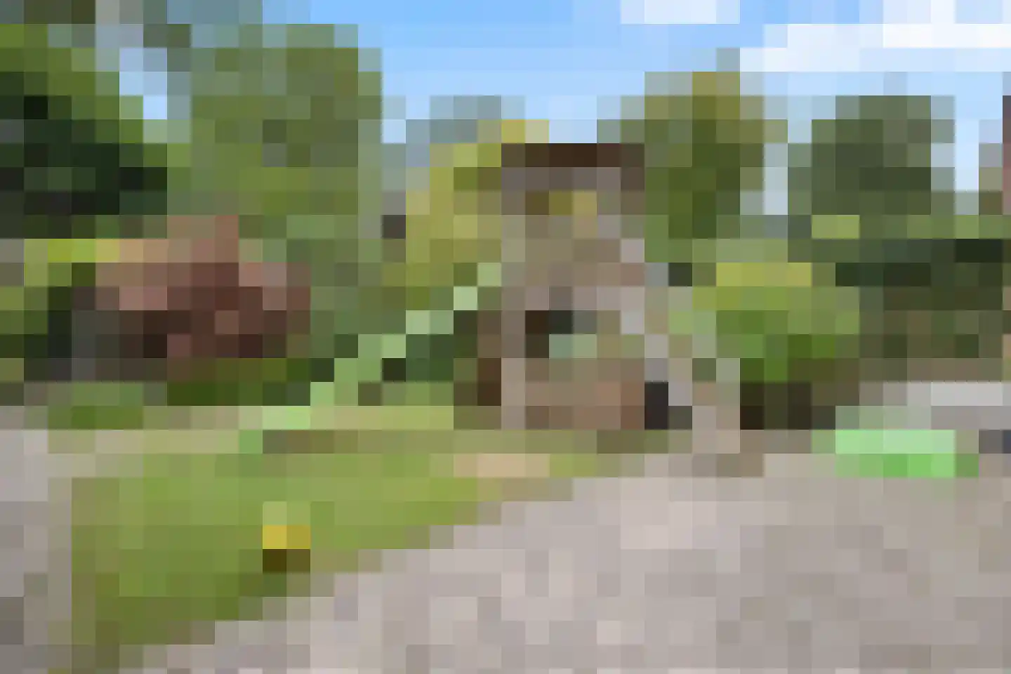 Zweepslag 15 Huissen thumbnail 11