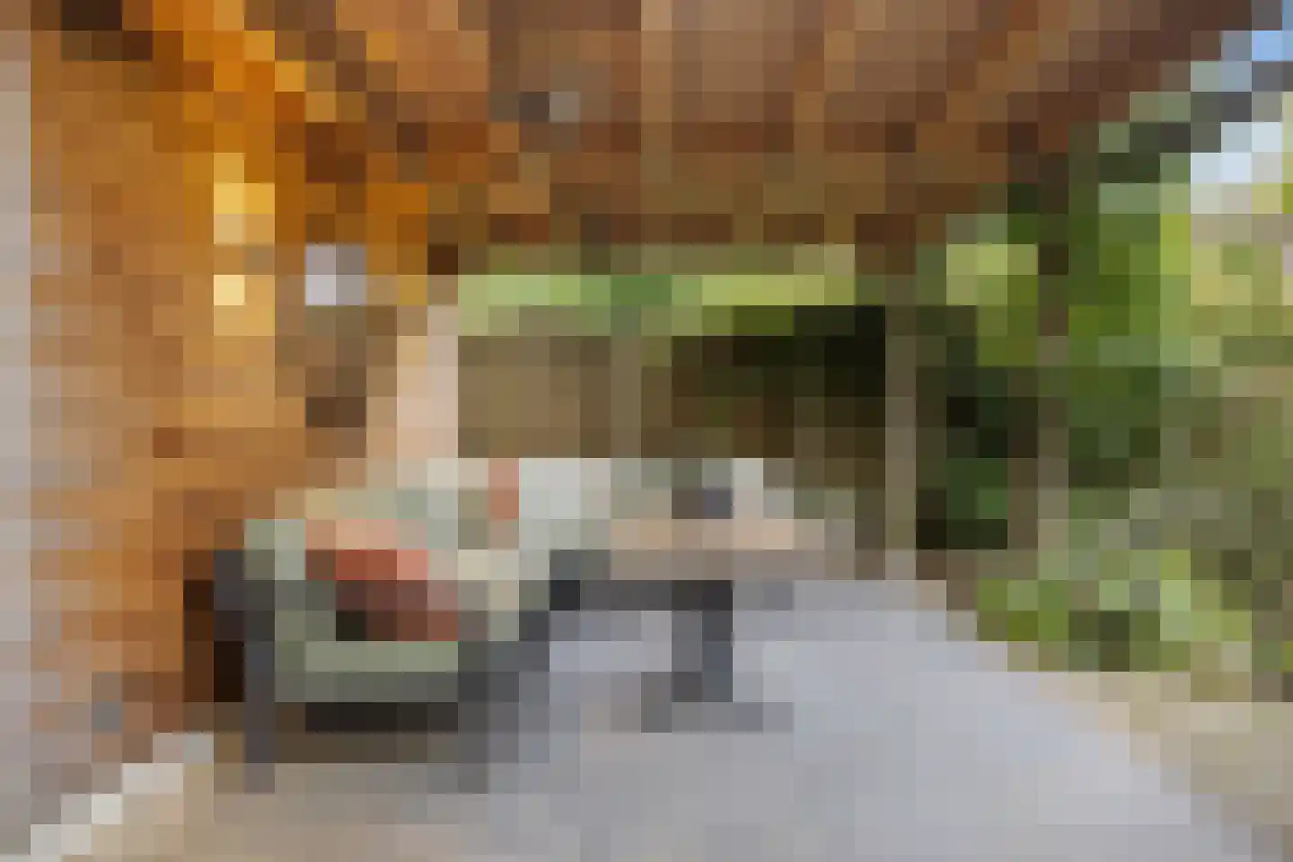 Zweepslag 15 Huissen thumbnail 13