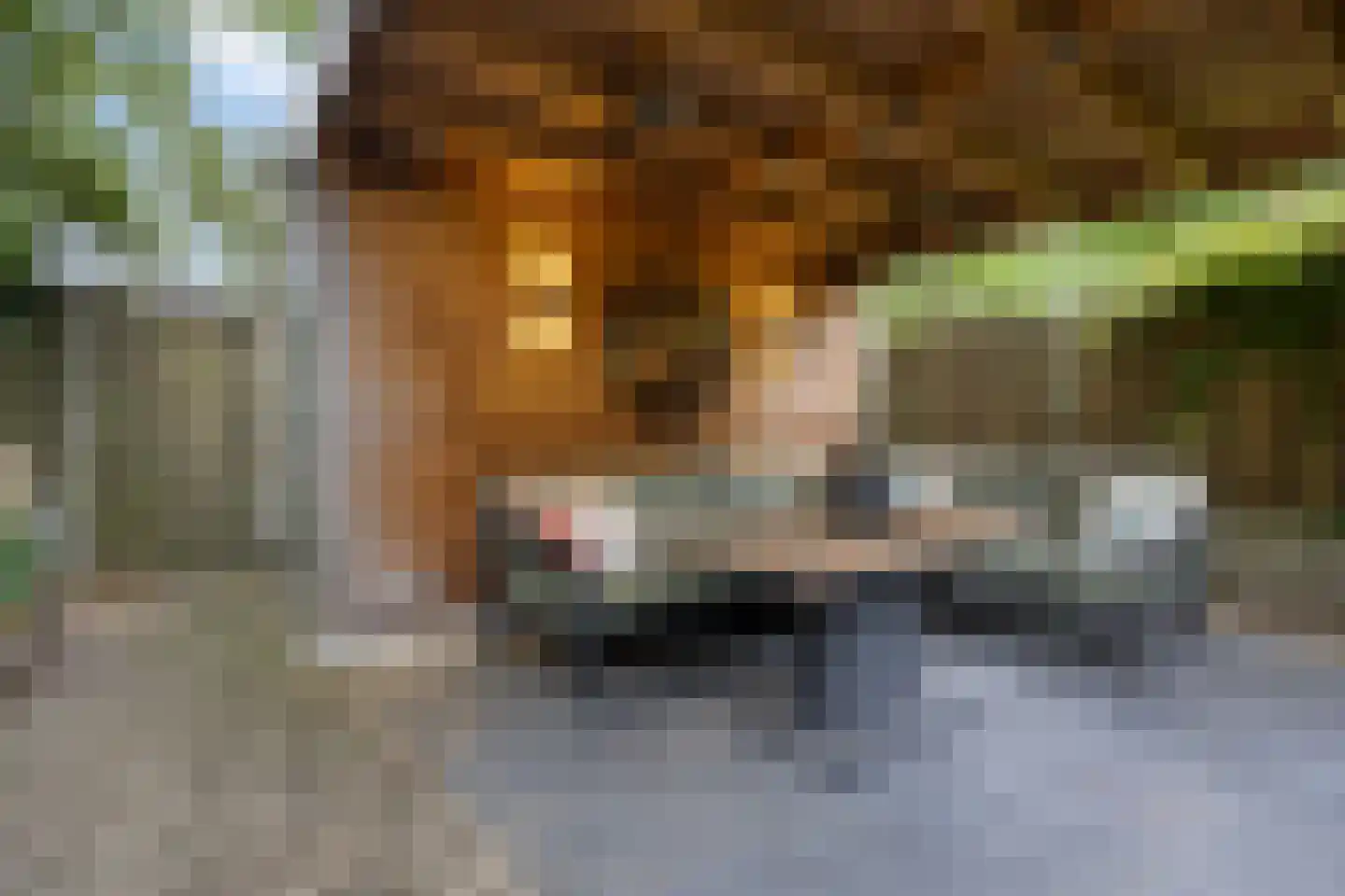 Zweepslag 15 Huissen thumbnail 14