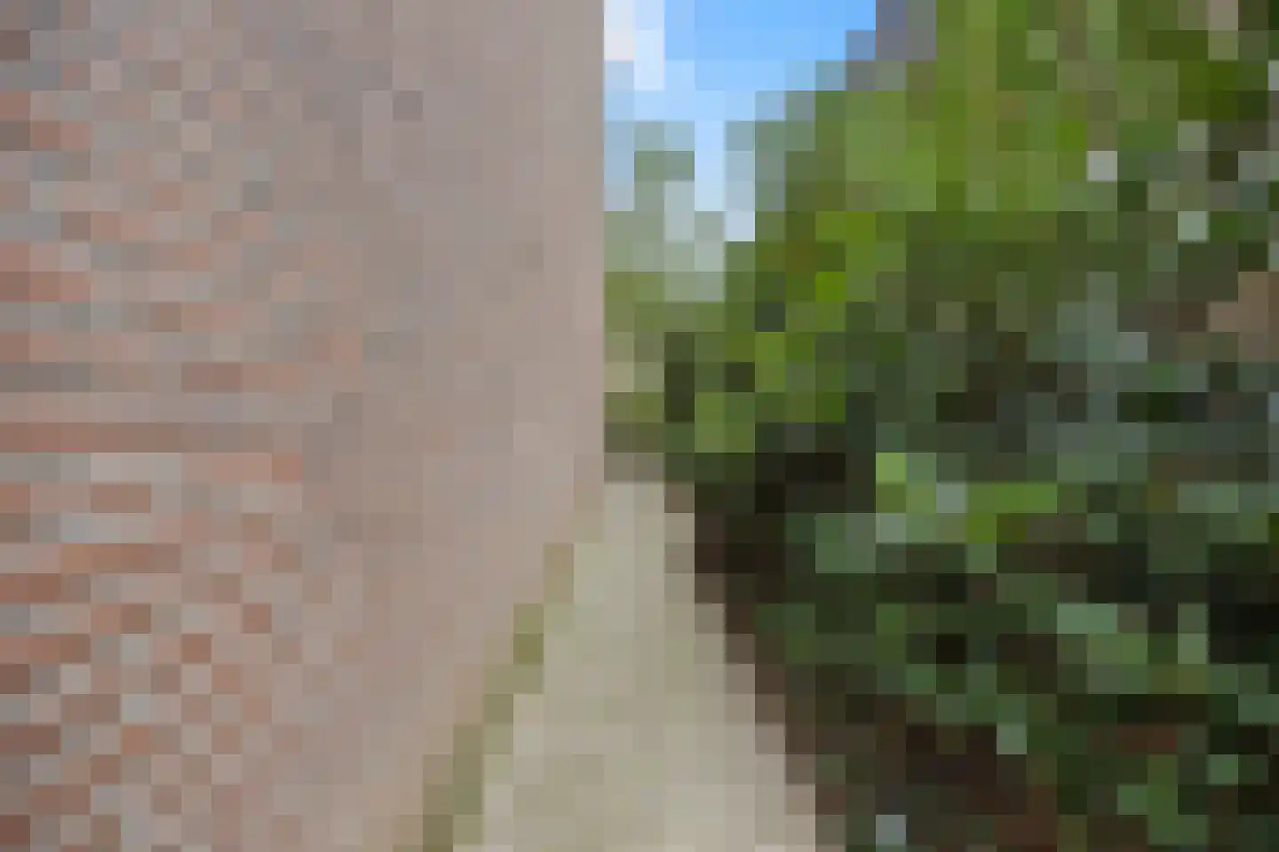 Zweepslag 15 Huissen thumbnail 15