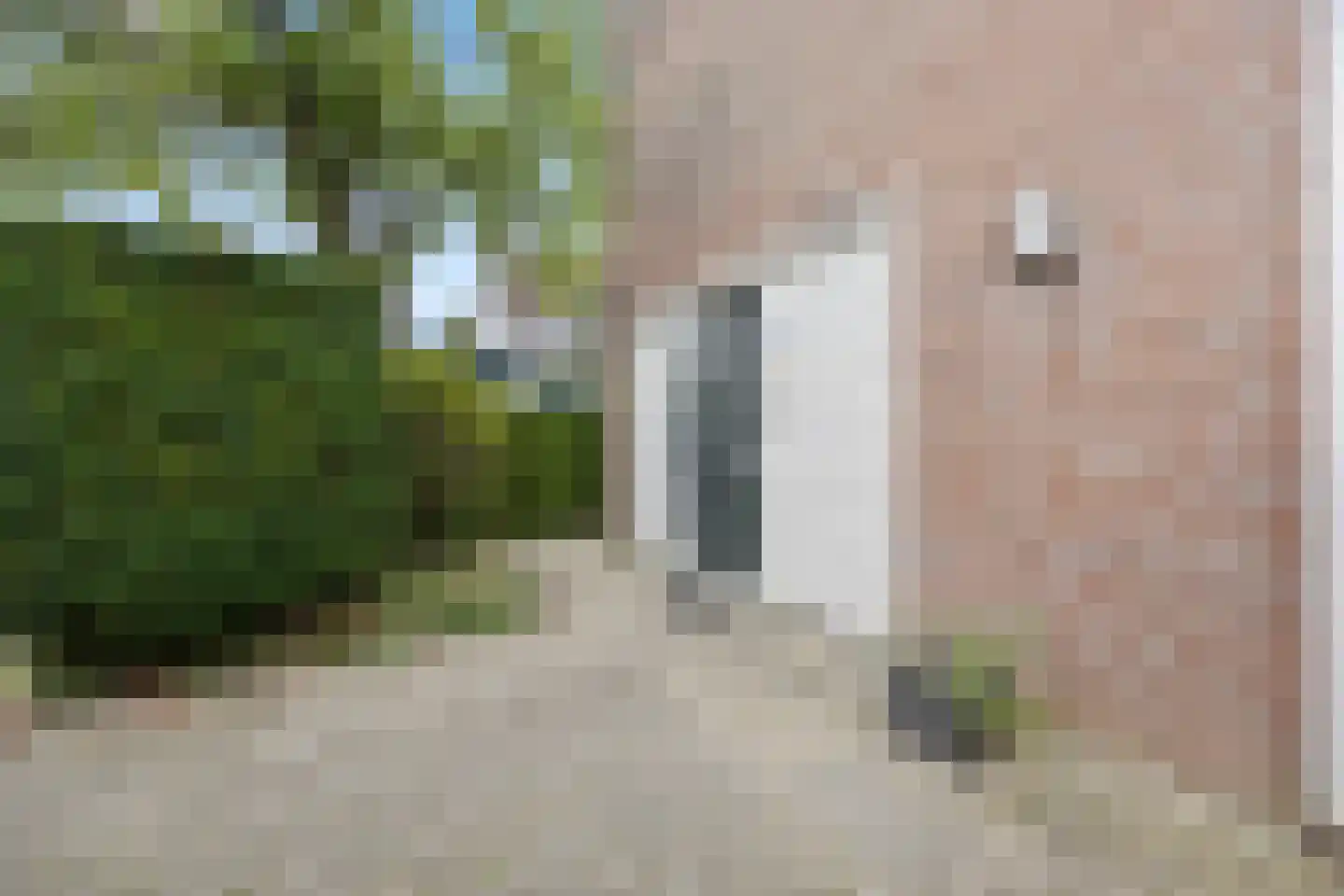 Zweepslag 15 Huissen thumbnail 17