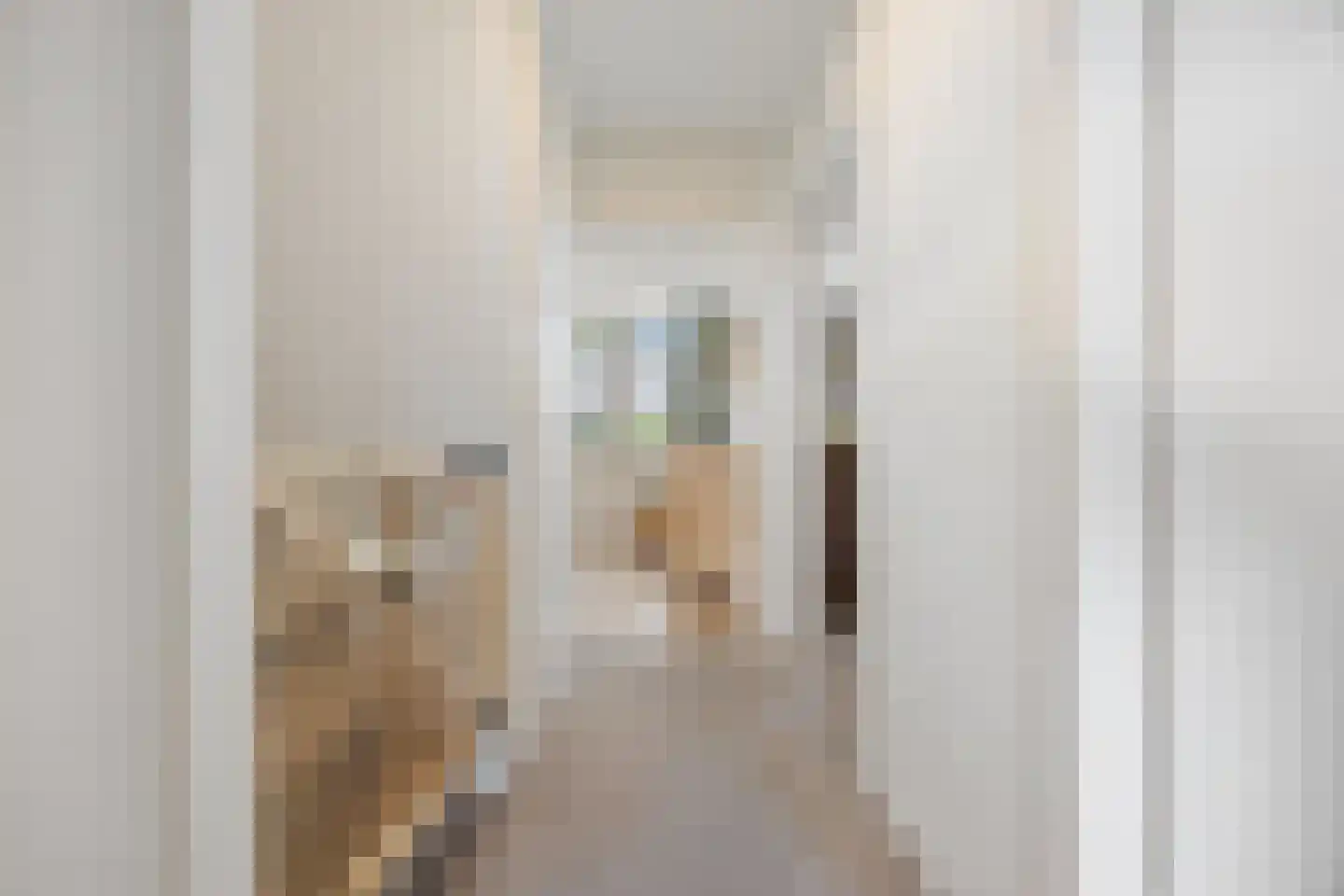 Zweepslag 15 Huissen thumbnail 19