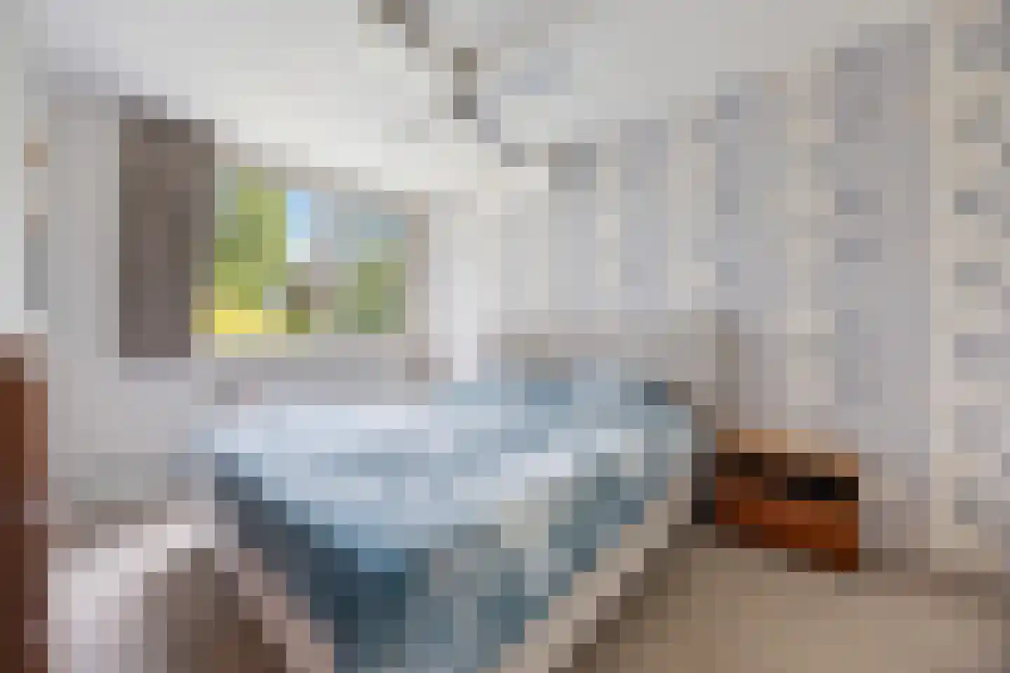 Zweepslag 15 Huissen thumbnail 20