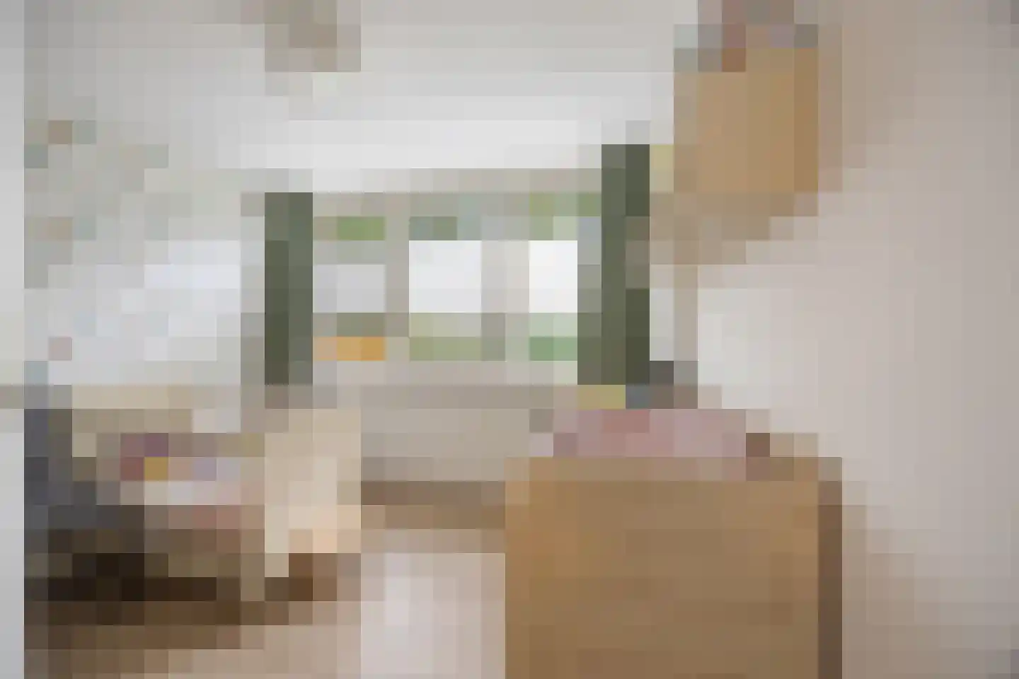 Zweepslag 15 Huissen thumbnail 21