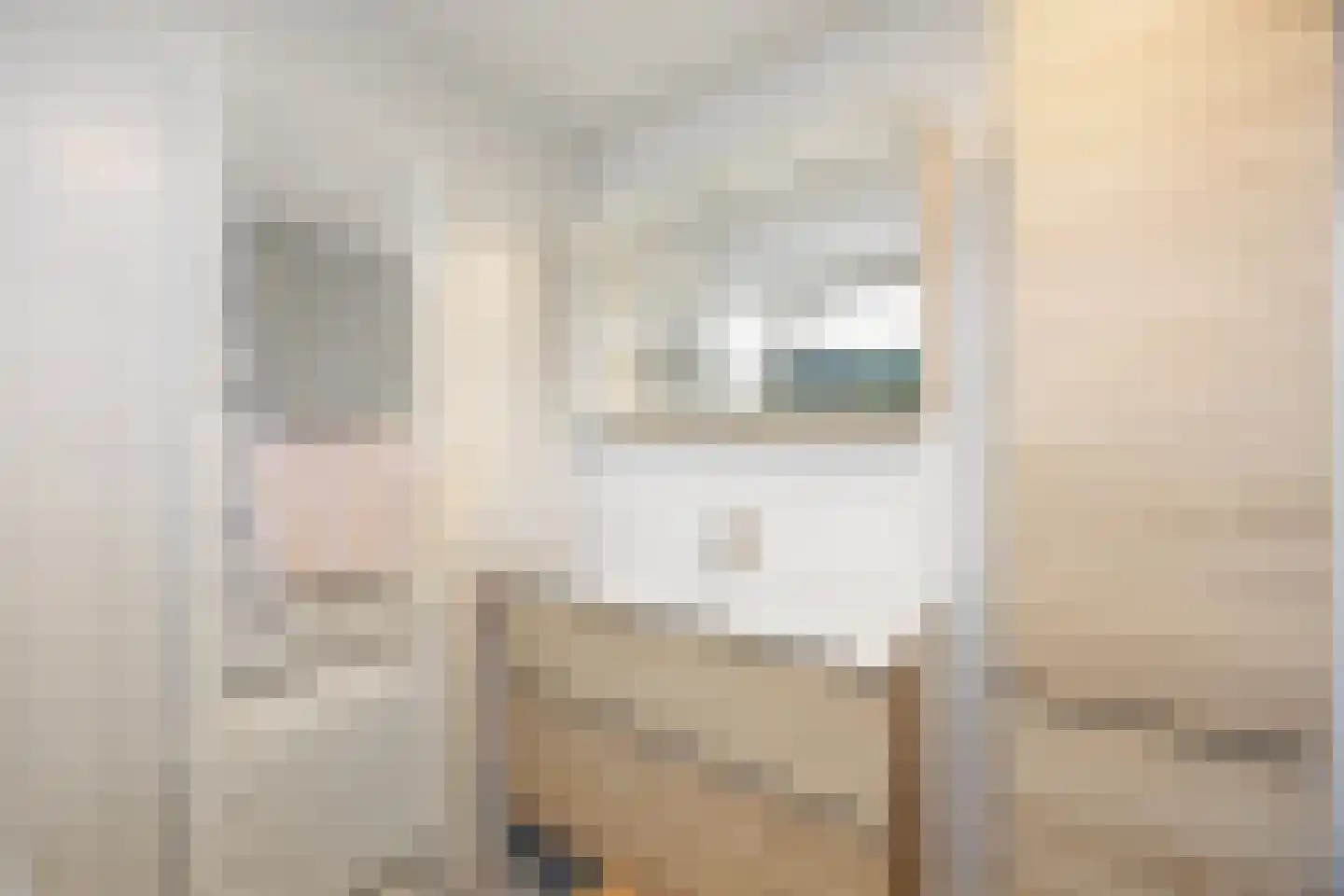 Zweepslag 15 Huissen thumbnail 25