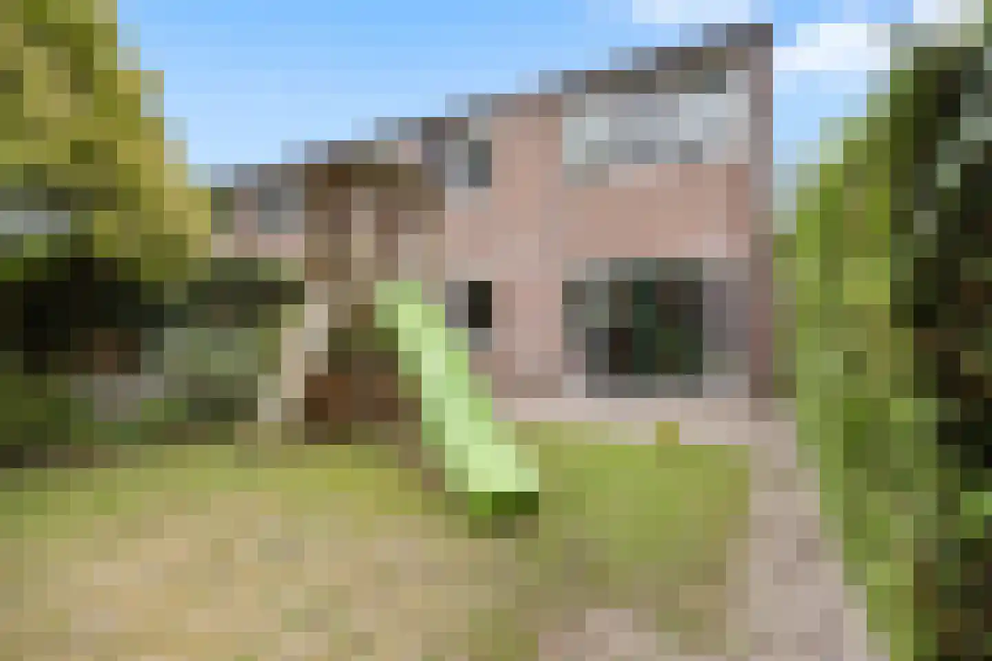 Zweepslag 15 Huissen thumbnail 4