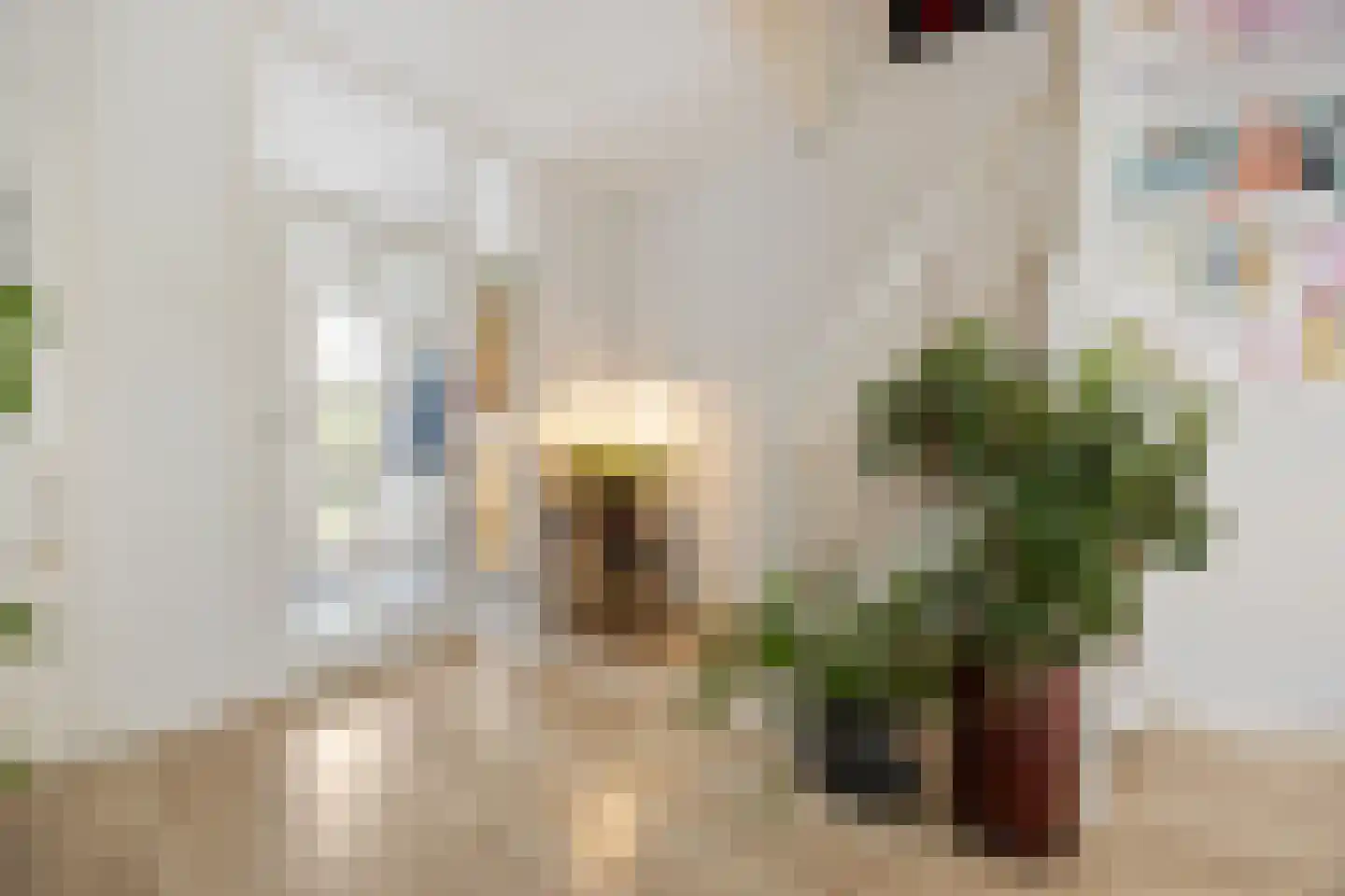 Zweepslag 15 Huissen thumbnail 6