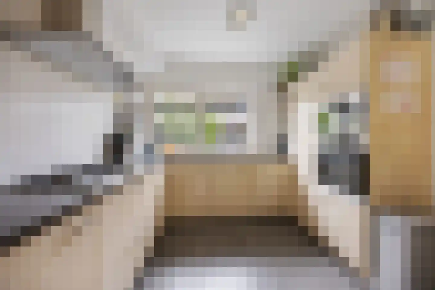 Zweepslag 15 Huissen thumbnail 8