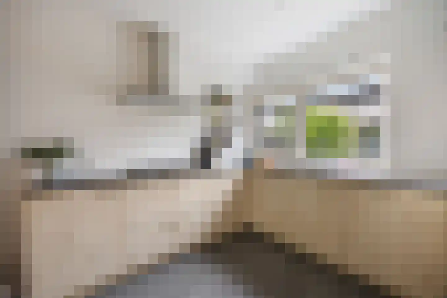 Zweepslag 15 Huissen thumbnail 9