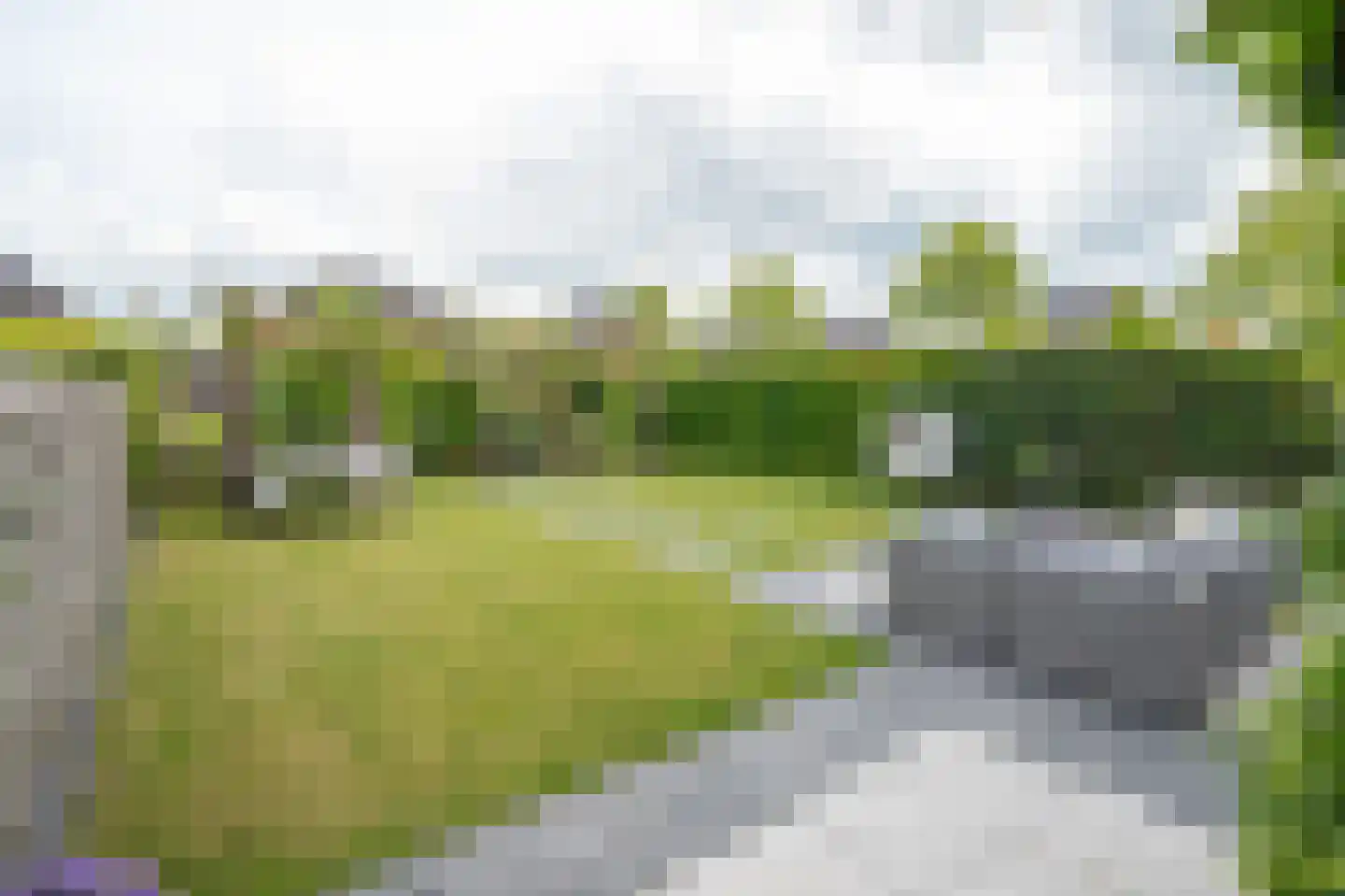 Zweerdeneiland 47 Eelderwolde thumbnail 45