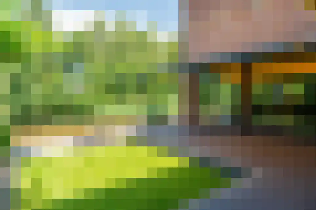 Zweerdeneiland 7 Eelderwolde thumbnail 15