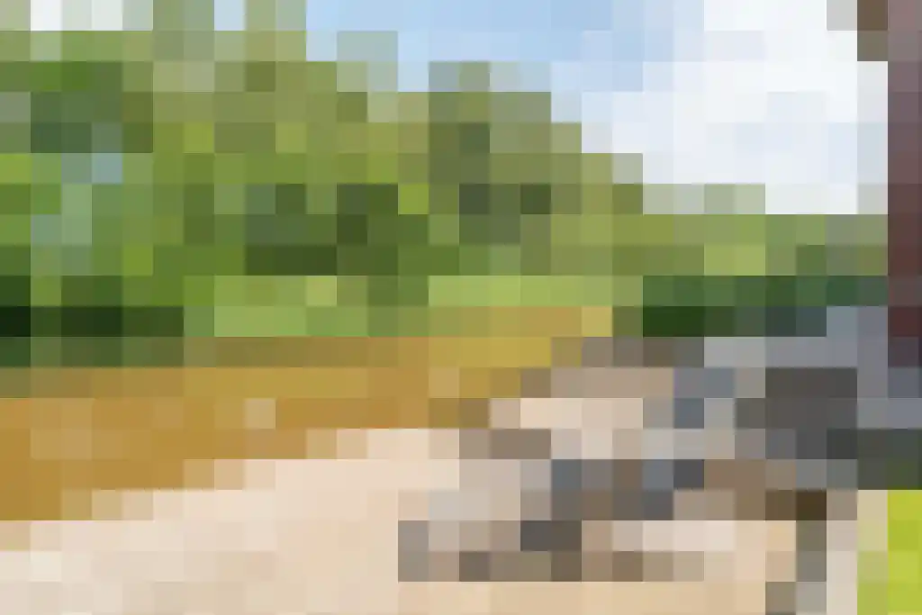 Zweerdeneiland 7 Eelderwolde thumbnail 17