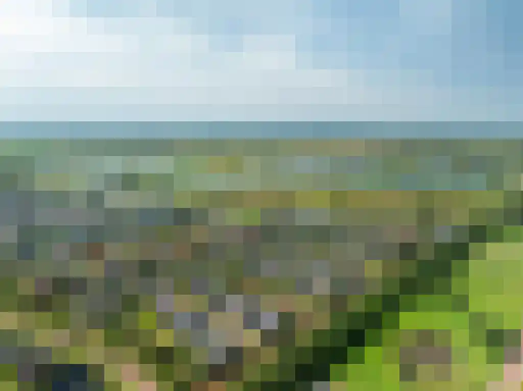 Zweerdeneiland 7 Eelderwolde thumbnail 59