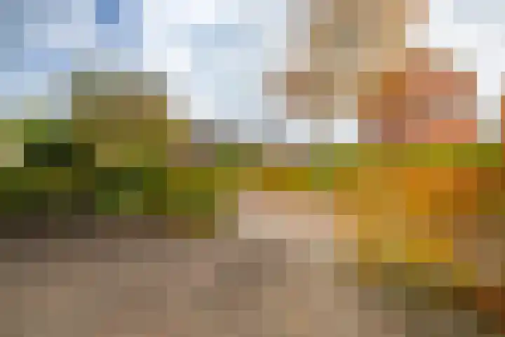Zweerdeneiland 8 Eelderwolde thumbnail 51