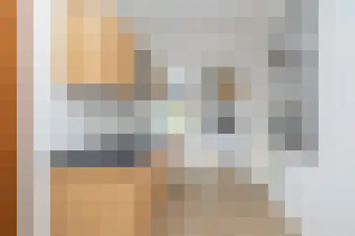 Zweermanstraat 16 Losser thumbnail 15